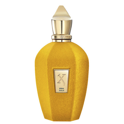 PERFUME XERJOFF ERBA PURA GOLD EDP 100 ML MASCULINO - Champ's Store