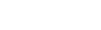 Developer