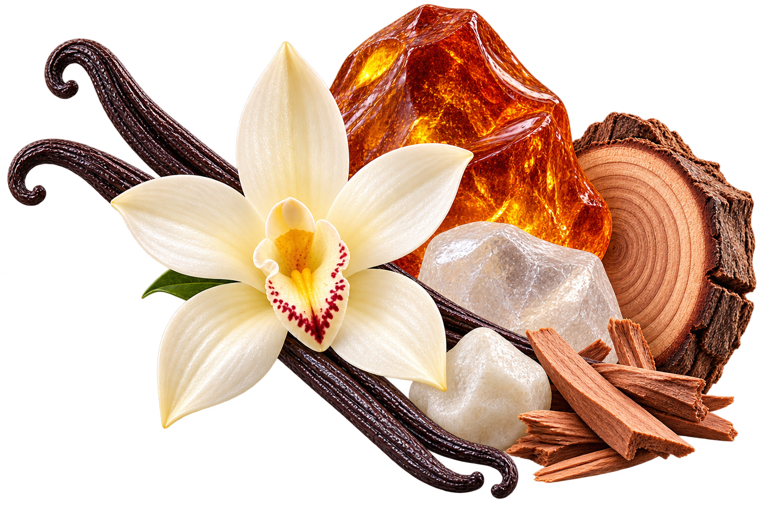 Notas de fundo do perfume Bela VIP Z336 inspirado no Libre