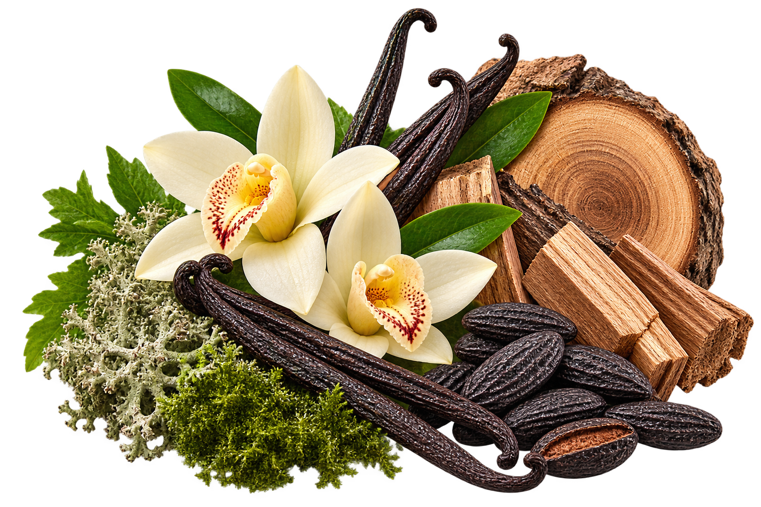 Notas de fundo do perfume Alfa VIP Z827 inspirado no Versace Eros