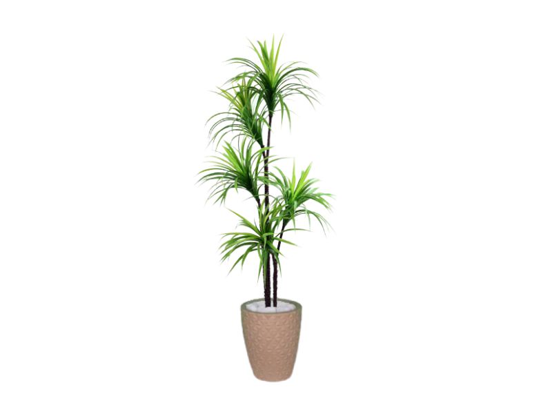 Planta Artificial Para Sala Árvore Yucca 1,60m Kit + Vaso E. Bege 32cm -  Florescer-Decor | FLORESCER DECOR