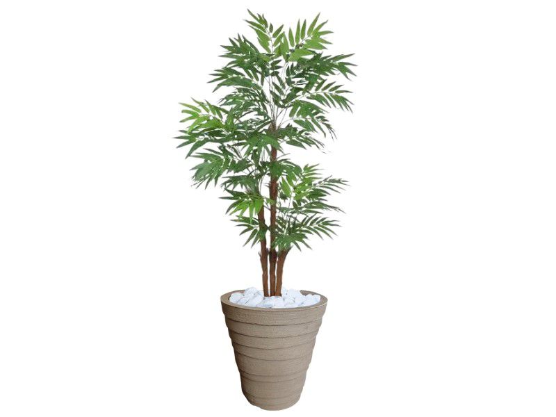 Planta Artificial Árvore Palmeira Phoenix 1,77m kit + Vaso Redondo D.  Grafiato Bege 40cm - Florescer-Decor | FLORESCER DECOR