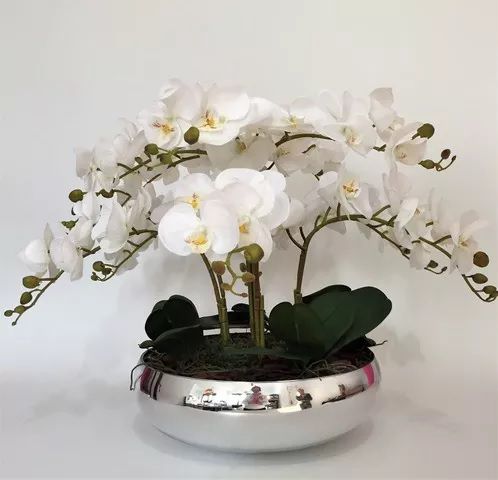 Arranjo Com 4 Orquídeas Real Toque Folhagens e Vaso prata 28cm -  Florescer-Decor | FLORESCER DECOR