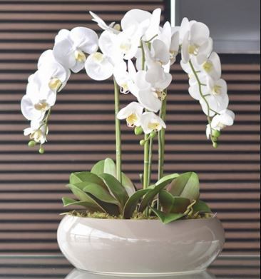 Arranjo com 3 Orquídeas Brancas de Silicone + folhinhas de Orquídea e Vaso  de Cerâmica marrom - Florescer-Decor | FLORESCER DECOR