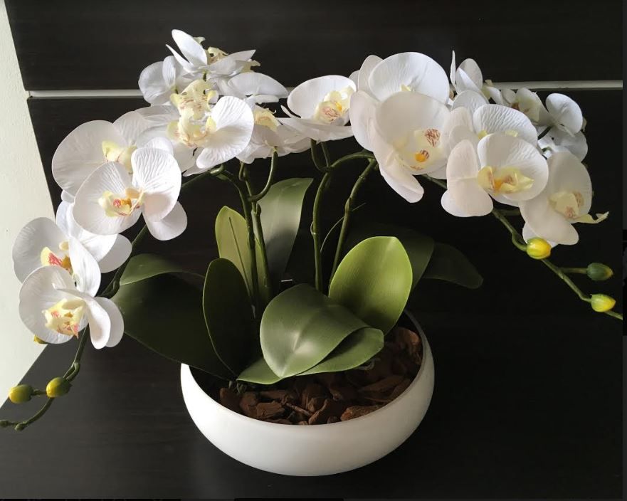 Arranjo de 4 Orquídeas artificiais brancas em vaso de Cerâmica -  Florescer-Decor | FLORESCER DECOR