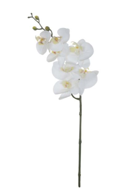 Haste Flor Artificial Orquídea Phalaenopsis Real Toque X7 63cm -  Florescer-Decor | FLORESCER DECOR