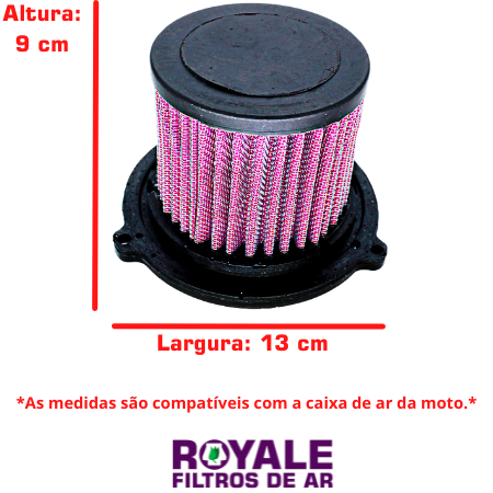 Comprar Filtro de Ar Esportivo Lavável Royale - Dafra Speed 150 - Royale  Filtros