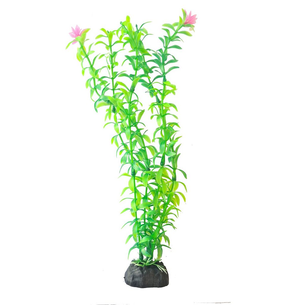 Planta Artificial Aquario 25cm verde Flor Enfeite LXS1019 - Acquapex |  Acessórios para aquário