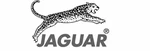 Jaguar Tesouras