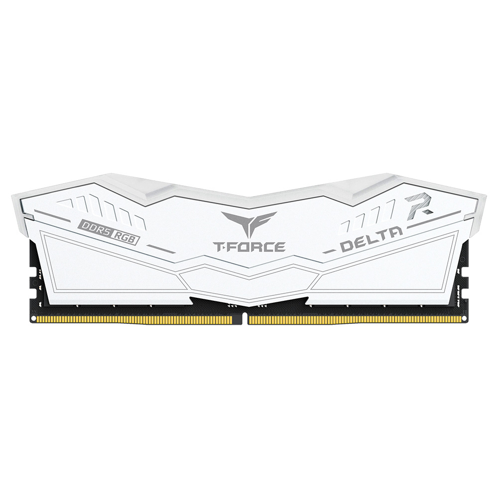 Memoria RAM TeamGroup T-Force Delta RGB White - Fantasy