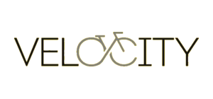 Velocity