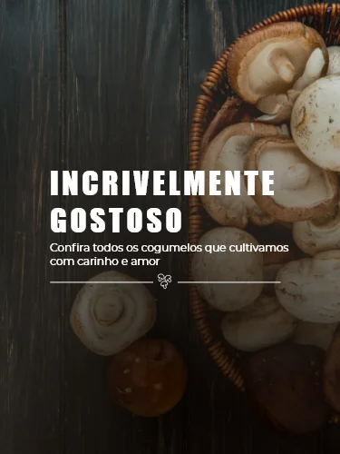 Shitake Desidratado 40g - Empório do Cogumelo cultivando sabores