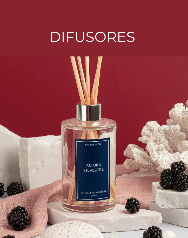 Difusor de vareta