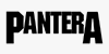 Banda Pantera