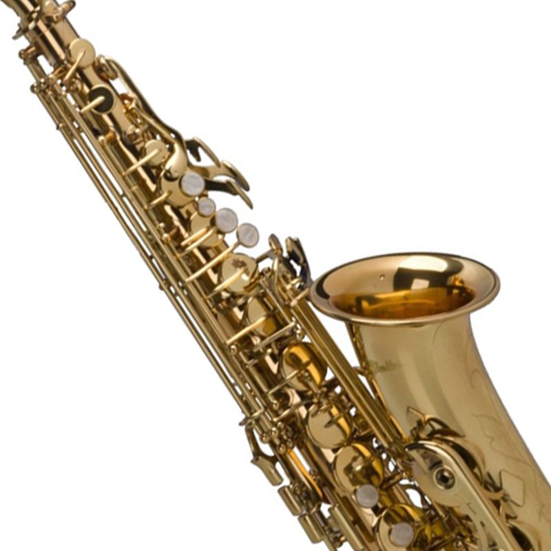 Sax Alto Laqueado Dourado SGFT6430L - Shelter - AudioDriver