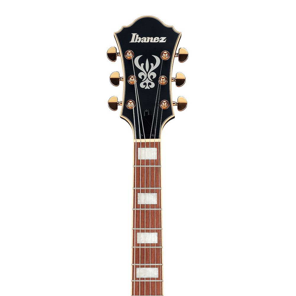 Guitarra Semi Acústica Ibanez AF75G BKF Black Flat - AudioDriver