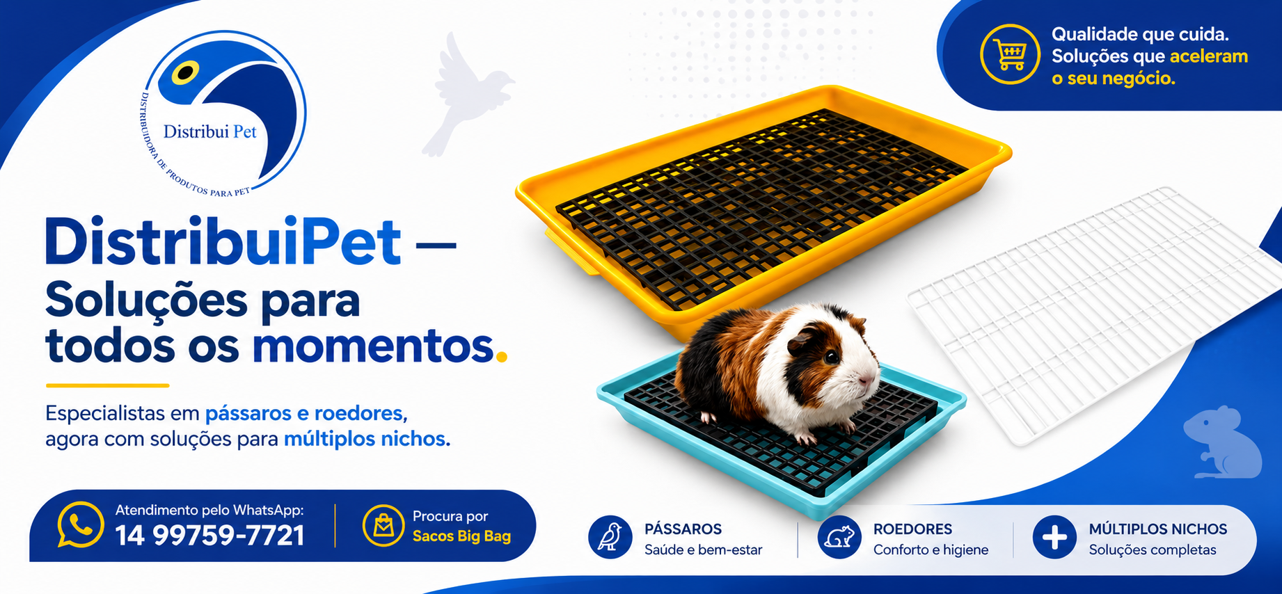 Institucional