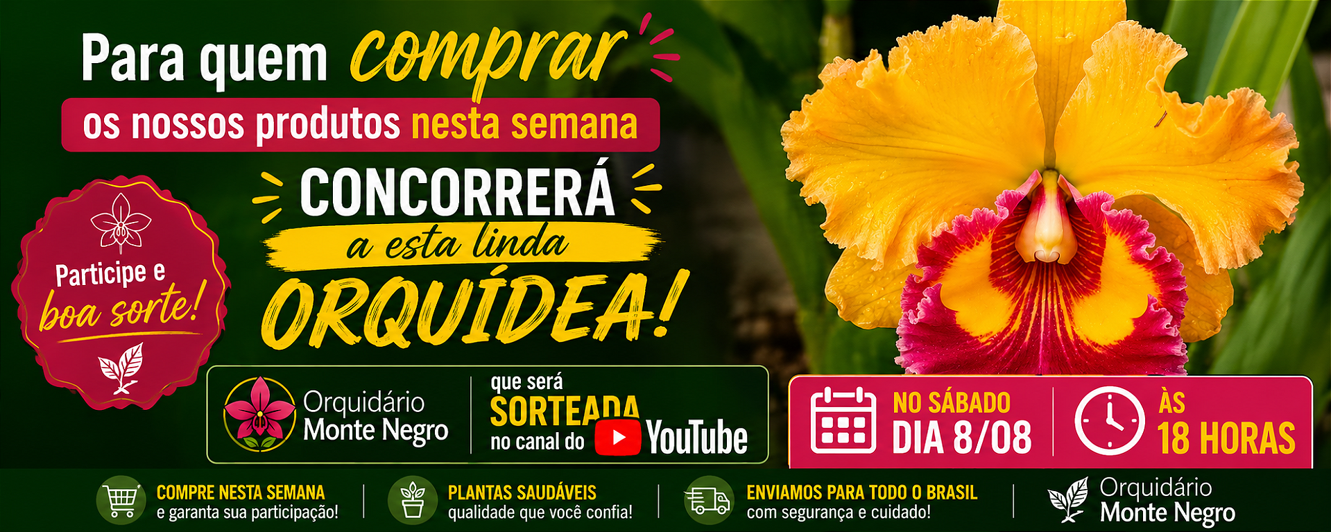 Sorteio