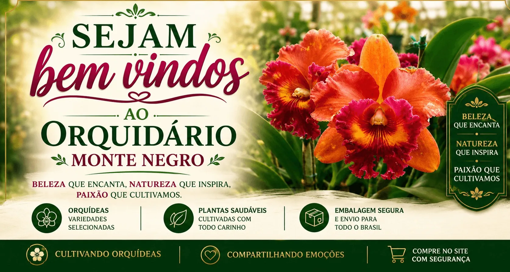 Bem vindo ao Orquidário Monte Negro