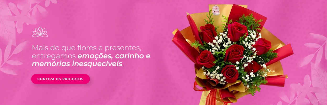 Banner Hero 1