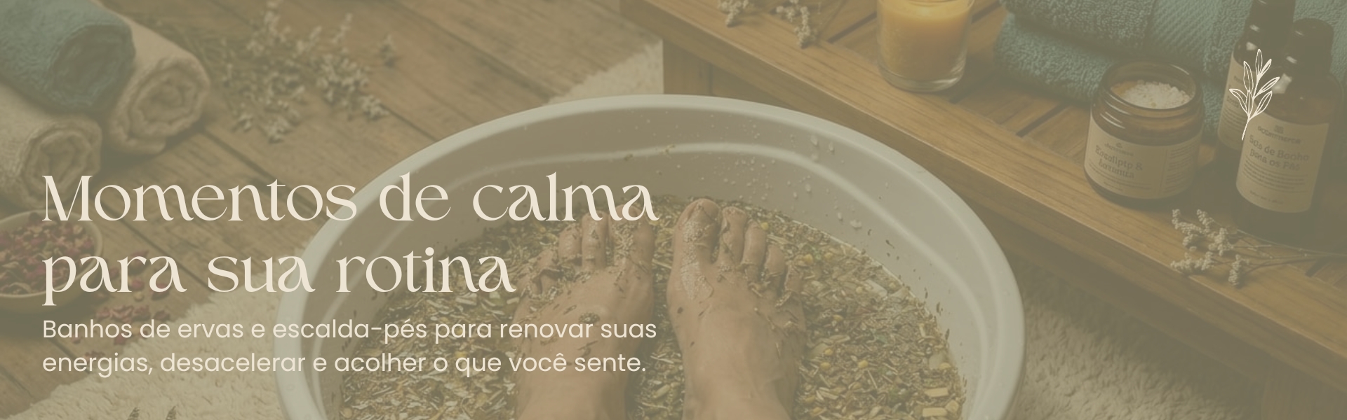Momentos de Calma