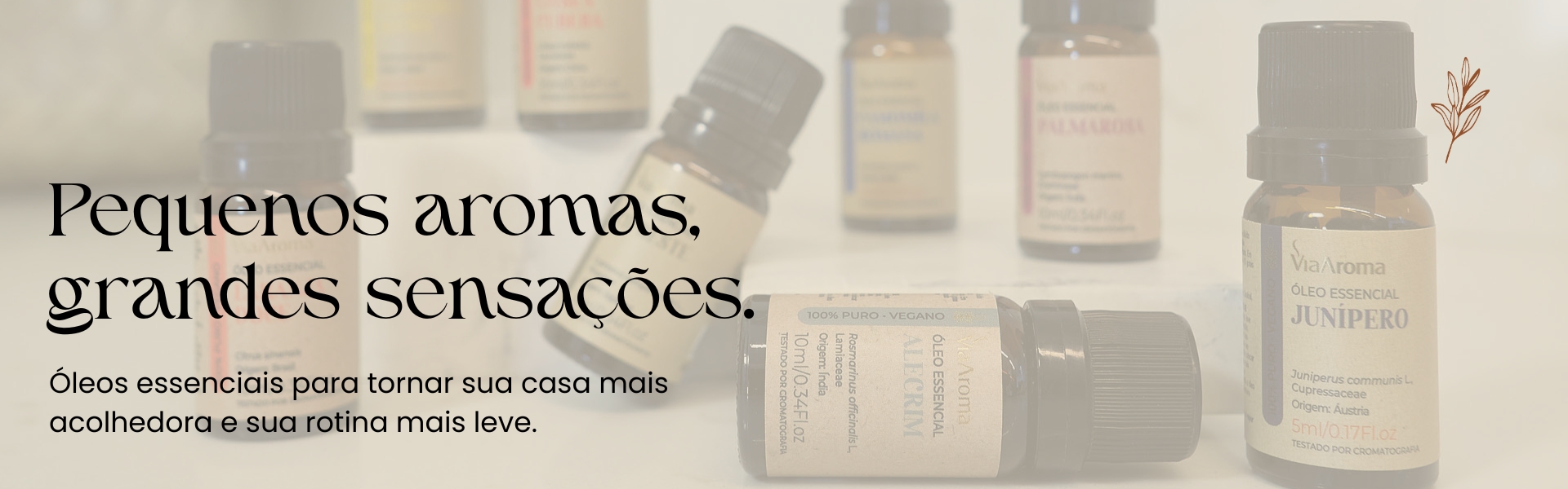 Pequenos aromas