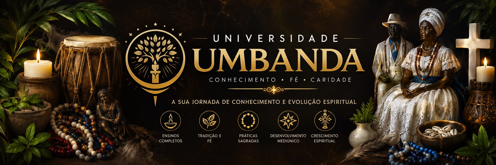 Universidade