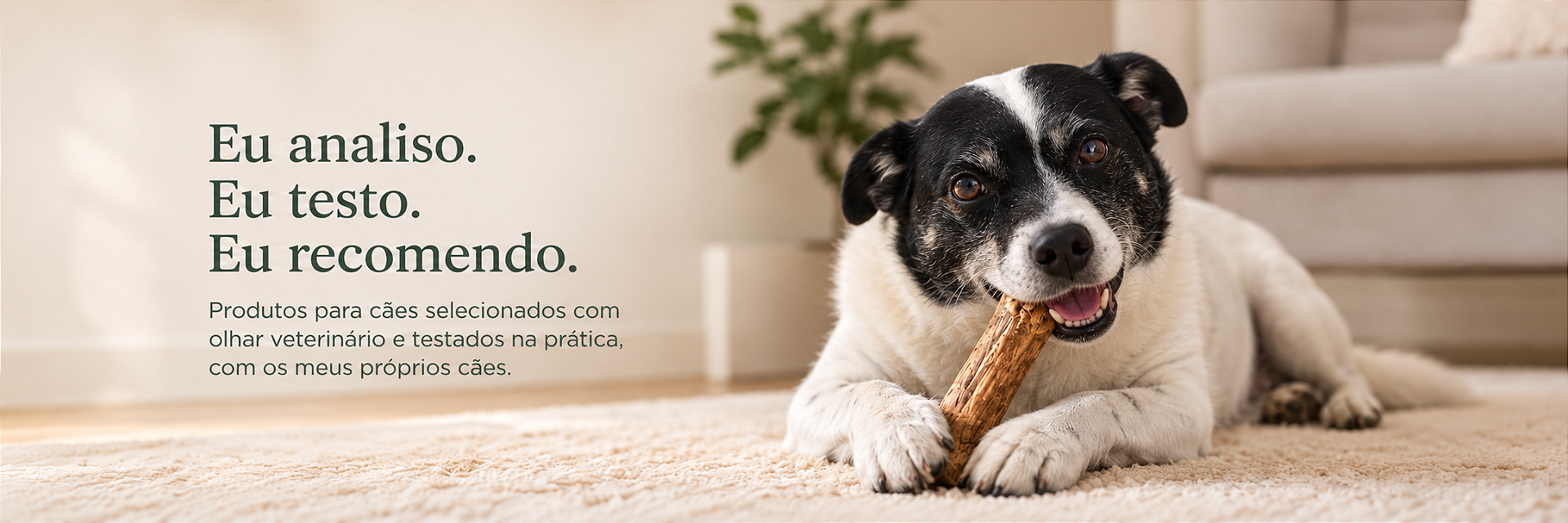 Full Banner - Loja Pronta