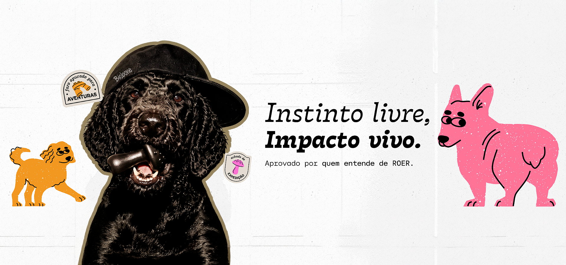 Todos os Produtos