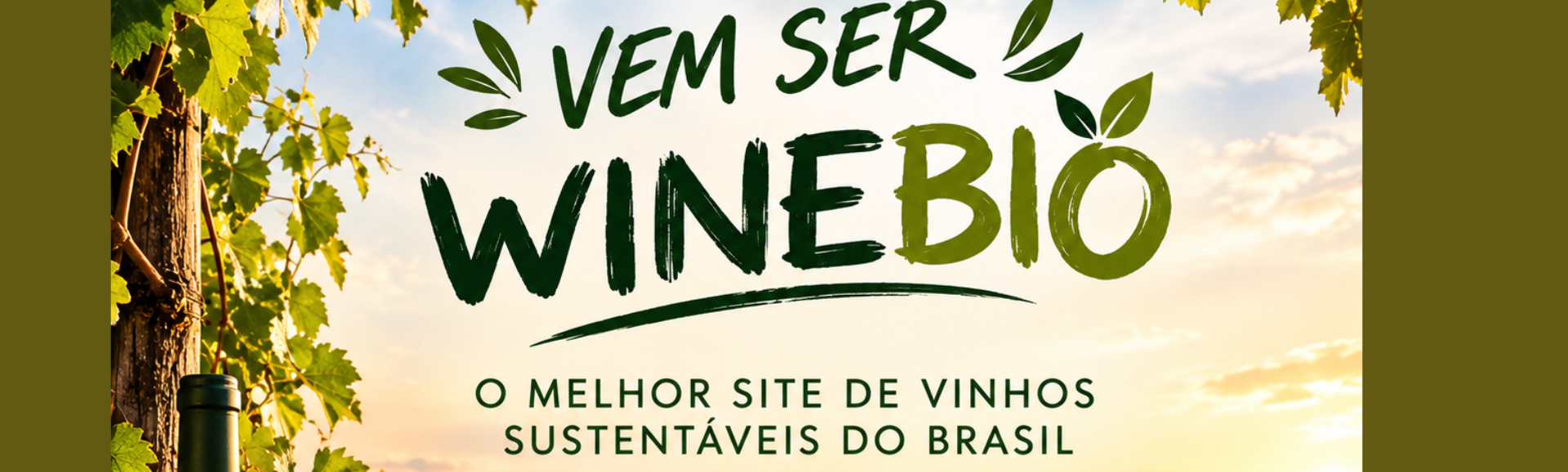 VEM