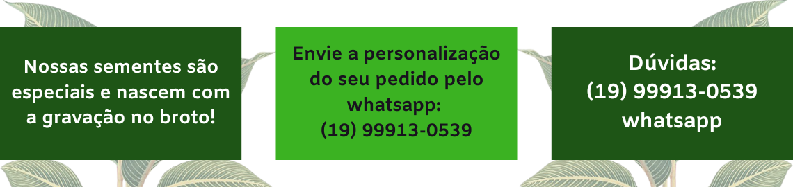 Avisos