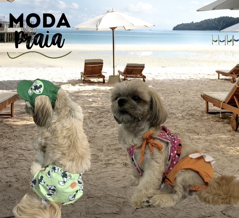 Modapraia foto