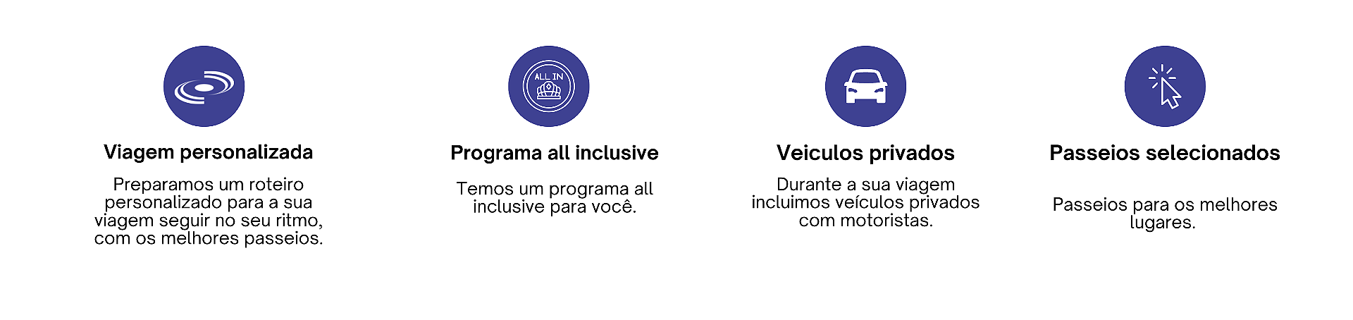 Patagonia banner tarja