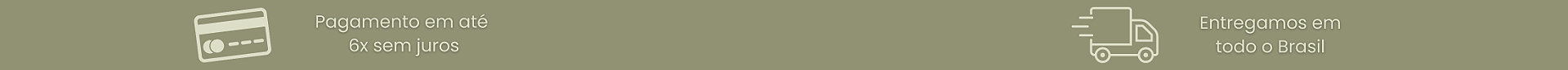 Pagamento + Entrega icones menores