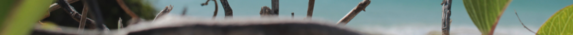 BANNER TAJA