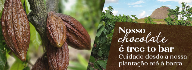 Banner Tarja 01 Plantação