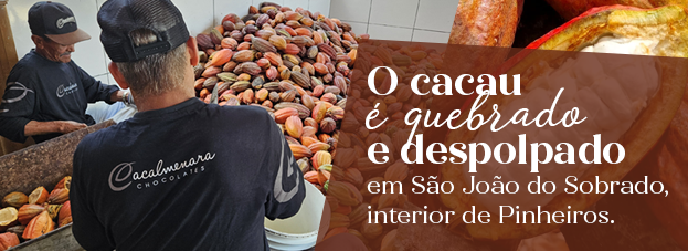 Banner Tarja 03 Quebra