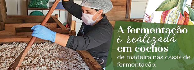 Banner Tarja 04 Fermentação