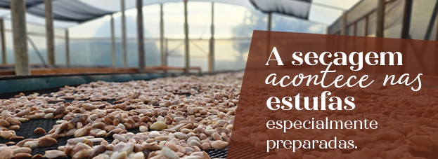 Banner Tarja 05 Secagem
