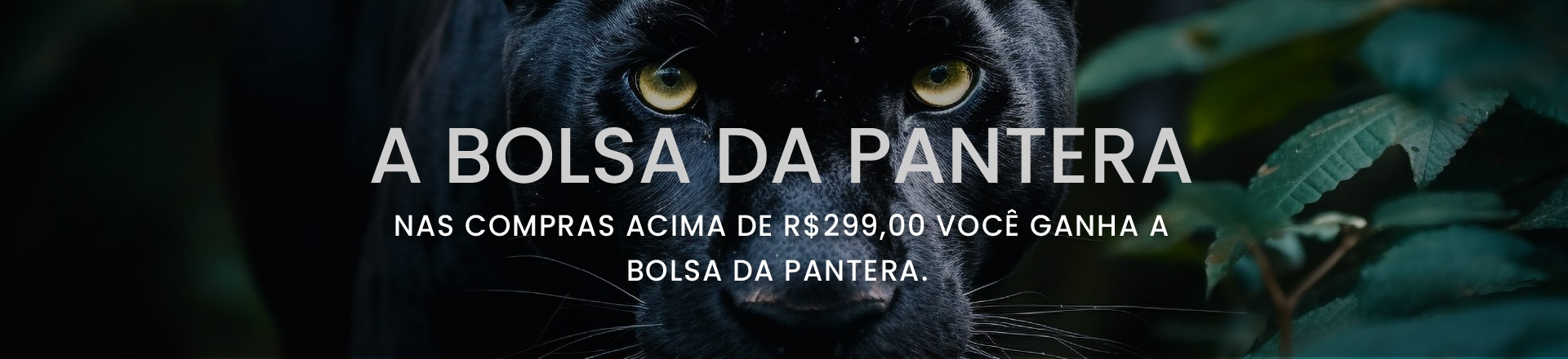 Mochilas