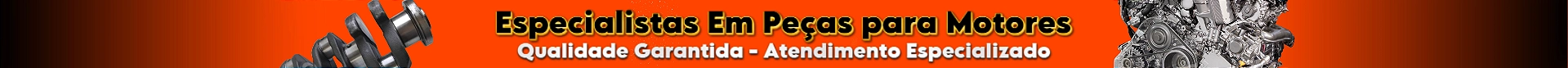 Especialista em motores 1