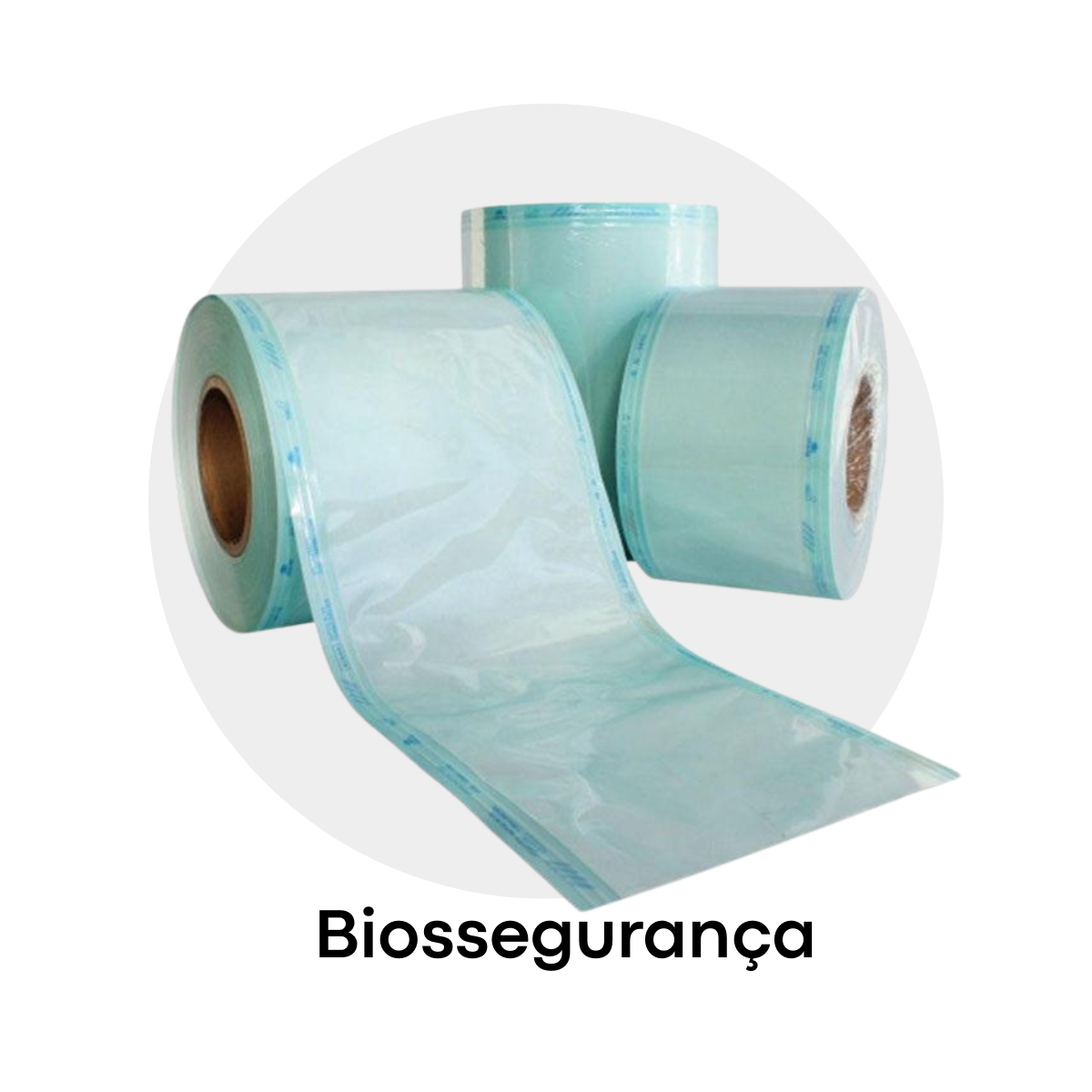 Slide Categoria Biossegurança