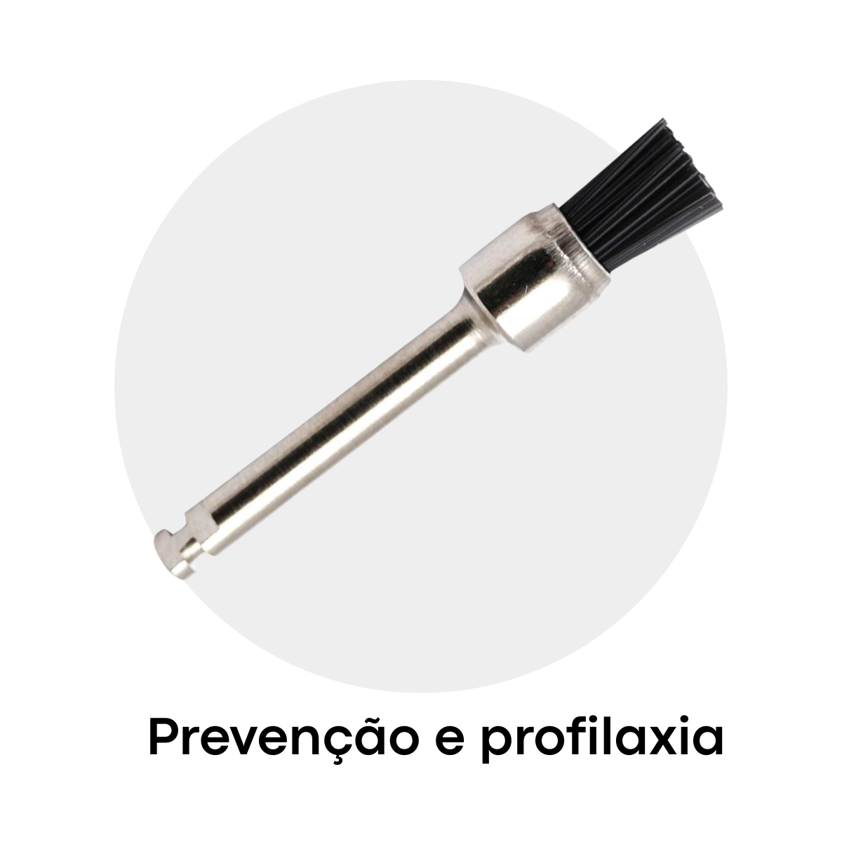 Slide Categoria Prevenção e Profilaxia