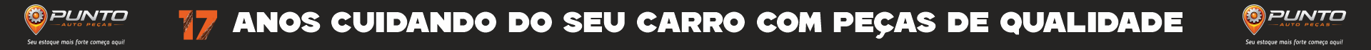 Banner 17
