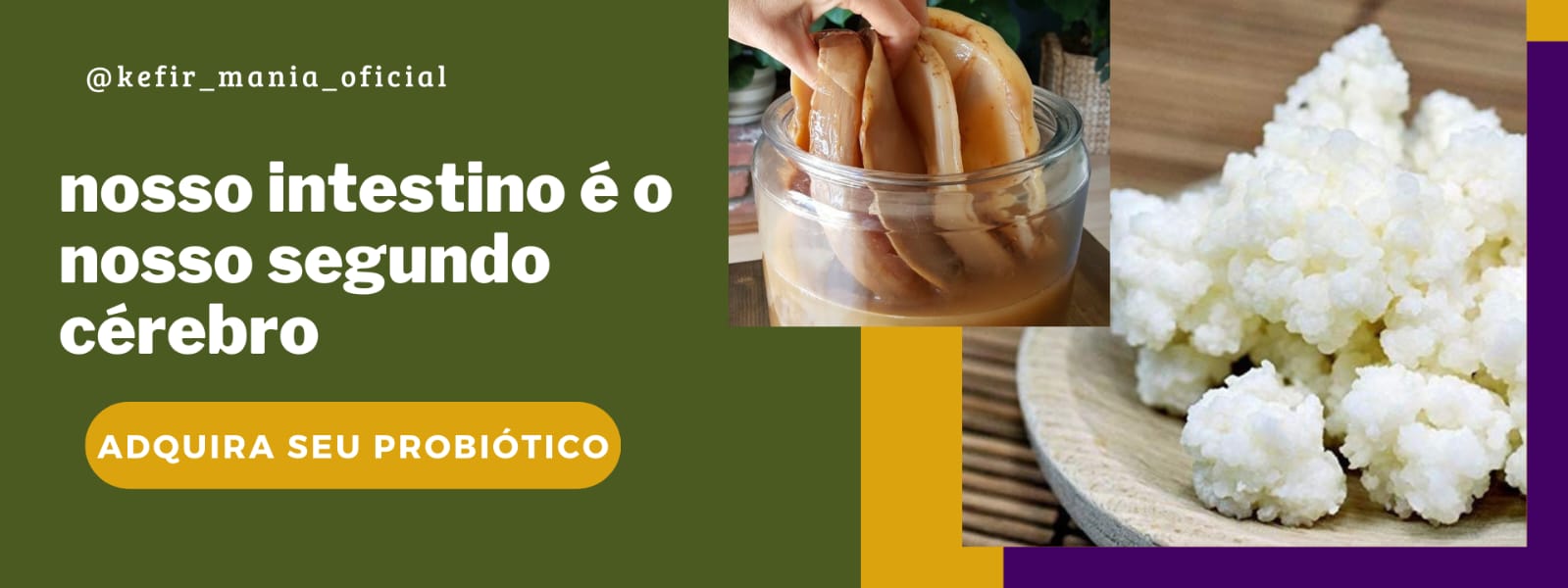 Nosso intestino é o nosso segundo cérebro