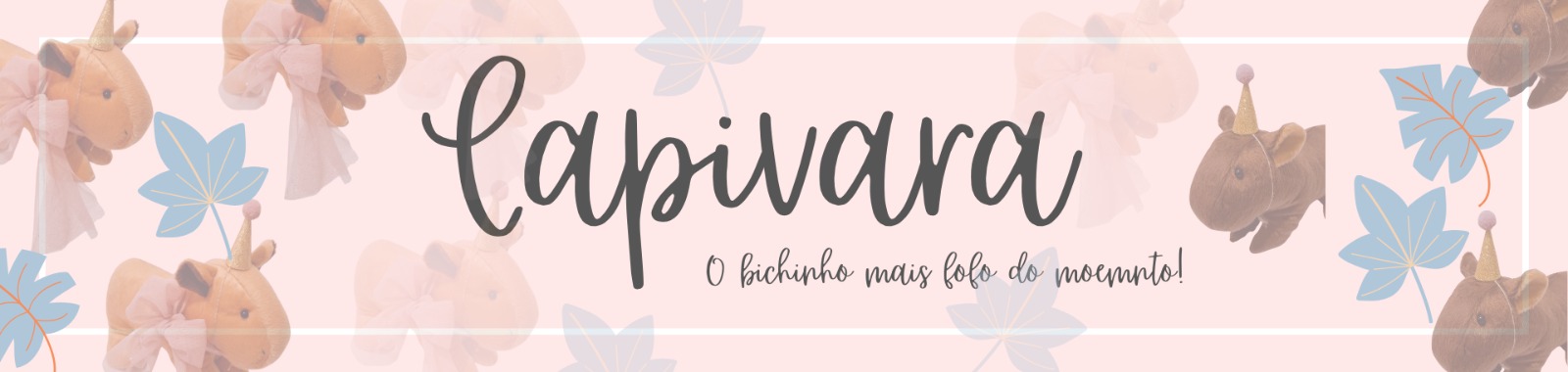 Capivara festa