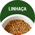 slide categoria Linhaça