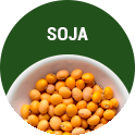 slide categoria Soja