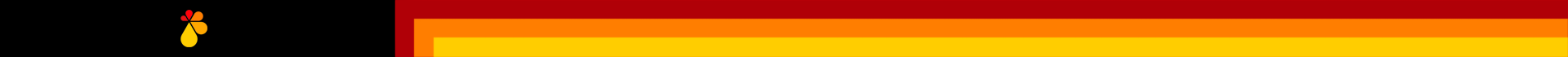 BANNER TARJA