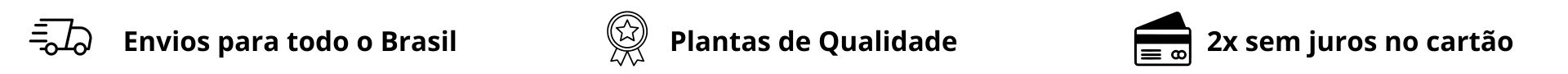 envios para todo o brasil